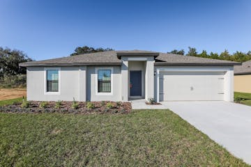 35689 Rose Moss Ave Leesburg, FL 34788